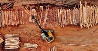 Op-Ed: Louisiana’s timber industry needs a new path