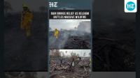 Firefighters Fight To Contain Belgium’s Biggest Wildfire As Rain Helps Douse Charred Forest