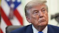 Trump to campaign for Darline Graham Nordone in South Carolina
