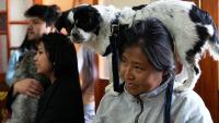 Dogs receive holy water blessing in Bolivia ceremony