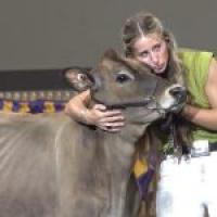 Supreme at the State Fair: Indiana 4-H’s Best Breeding Livestock Champions Share Their Stories