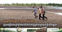 Australia Drives $10 Million Investment to Catalyze Cambodia’s Cashew Processing Potential