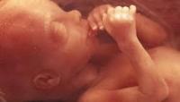 Even Democrat Massachusetts Lawmakers Call State's New Abortion-Until-Birth Law ‘Barbaric’