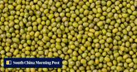 China’s ‘no’ on Australian beans: what the import rejection says about trade ties
