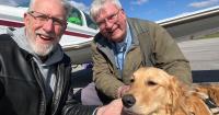 Pets fly to their forever families