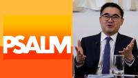 Psalm readies Napocor asset bidding—Finance chief