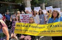 TDs call on pharma company to work with HSE to give access to life-changing drug Skyclarys