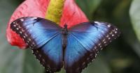 Biodiversity at home | Master Gardener