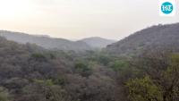 Ecological equity needs constitutional protection