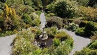 Northern Ireland council approves automated parking for forest parks