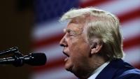 Primary election races in Florida: Who did Trump endorse for Congress?