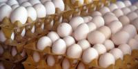Settlement brings much-needed egg donation to Yuma and La Paz Families