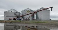 Corn prices higher as stocks fall
