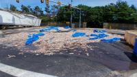 5 Rhode Island squid spill leaves a slimy mess, shuts down road for hours