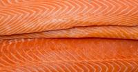 NZ fast-tracks major open-ocean salmon farm as aquaculture eyes NZ$3bn annual revenue