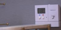 Small businesses struggle to stay cool amid extreme heat