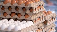 Yuma-Area Food Banks Get Egg Delivery as Part of Price-Fixing Case Settlement