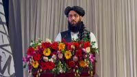 Afghan envoy bats for stronger ties with India as Taliban marks 5 years in power