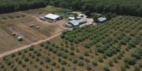 Severe drought leaves Bayfield farmers uncertain about harvest