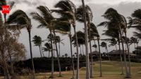 Tropical Storm Lala in Hawaii: Roads collapse, 100 homes swept away, no power, mobile service; 1 dead