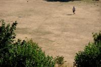 Belgium’s exceptionally dry summer fuelled historic wildfires