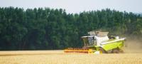 China’s Drive for Food Self-Sufficiency: What It Means for ASEAN Countries
