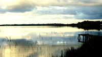 Two Irish lakes feature among six recommended spots for wild swimming in UK and Ireland