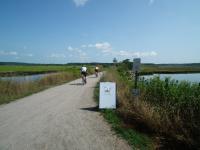 This easy Maine bike trail winds through a stunning coastal marsh