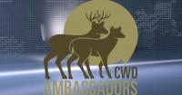 Iowa DNR program in Decorah fights deer disease spread