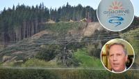 Forestry Minister Todd McClay appoints forestry facilitator for Gisborne