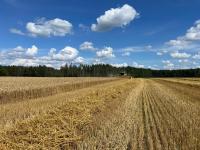 Vidzeme farmers happy with this year's grain harvest