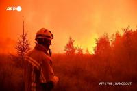 Belgium Battles Worst Wildfire in 100 Years as Fires Ravage Europe