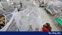 The old way of fighting dengue isn't working. We need a smarter strategy