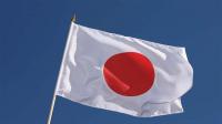 Japan's defense minister says cooperation with US, South Korea 'critical' for region