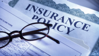 Government defends cessation of scheme
