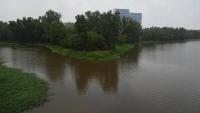 NGT pulls up Keralam PCB over ‘incomplete’ report on measures to curb Kadambrayar river pollution