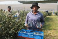 China's zero-tariff policy boon for Zimbabwe trade