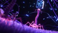 Scientists use AI to create viruses not found in nature, simultaneously raising alarms, enthusiasm