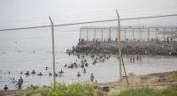 Ceuta under Migratory Threat and Tension with Morocco