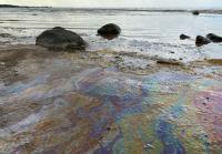 Massive Oil Spill off Oman Coast Threatens Marine Ecosystems