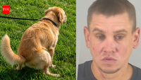 Florida man arrested after throwing dog poop at neighbour over uncleared mess and threatening him with a child’s scooter