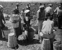 When Did Enslavement End All Over the World?