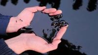 Oil Prices Rise as Hopes Fade for Washington-Tehran Ceasefire