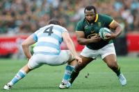 Kolisi and Nche may miss Bok Test against New Zealand