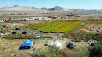 Korea's agricultural outreach innovates Mongolia, Africa, Uzbekistan