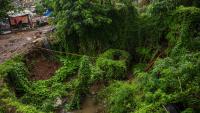 Rescued from ruins, weed and decay now devour 400-yr-old Portuguese bastion in Mumbai