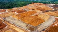 Indonesia's planned commodity exchange likely to cover palm oil, nickel, coal