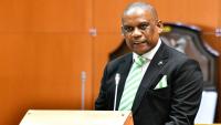 Saleshando’s bid for electoral reform fails in Parliament