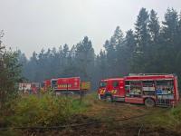 High Fens fire: Two firefighters hospitalised as blaze now contained, impact on nature reserve’s wildlife