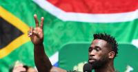 Stormers coach John Dobson predicts Springboks will be 3-0 up before Baltimore Test